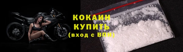 индика Абаза