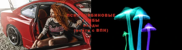 PSILOCYBIN Алексеевка