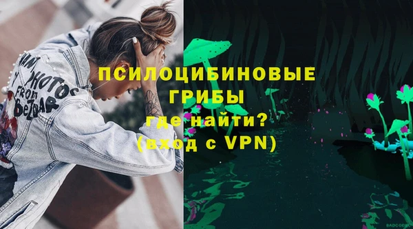 амф Алексин
