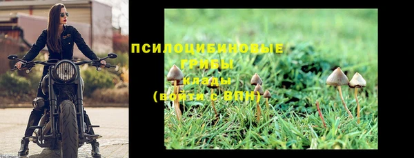 амф Алексин