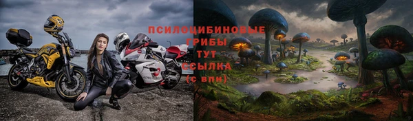 амф Алексин